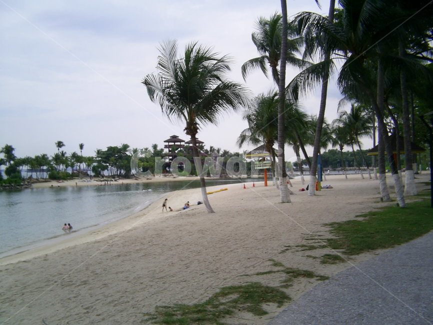 싱가포르,센토사,singapore,sentosa,바다,해변,바다,beach,sea