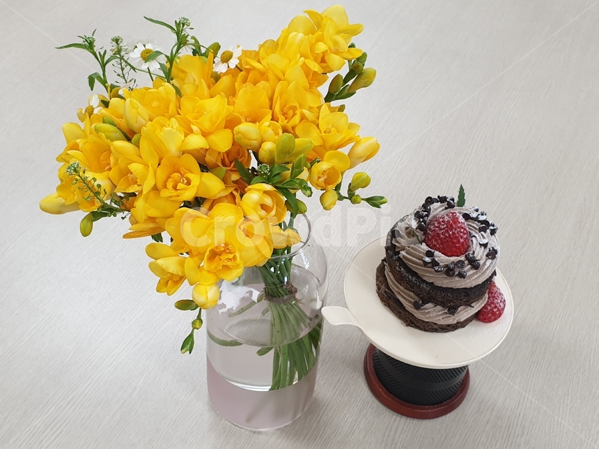 plant,식물,꽃,케이크,딸기케이크,초코케이크,딸기초코케이크,프리지아,후리지아,cake,flower