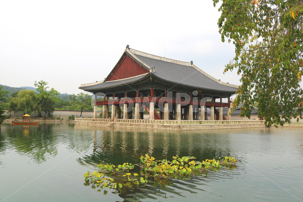 경회루,경복궁,광화문,옛날집,연못,서울,나무,한국전통,한국문화,korean traditional,korean culture,랜드마크,landmark,tourist attraction,한국랜드마크,한국관광지,한국명소,korea landmark,korea tourist attraction