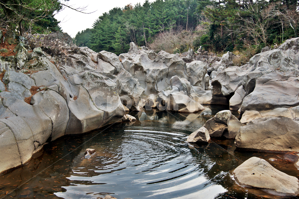 창꼼소,제주,한천,오라올레,소,물놀이,트레일,자연,풍경,nature,landscape,제주도,jeju,jeju island,water,물,outdoors,옥외