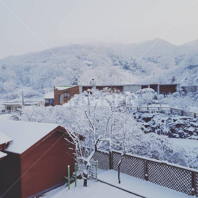 겨울,눈,함박눈,설원,설산,계절,추운,얼음