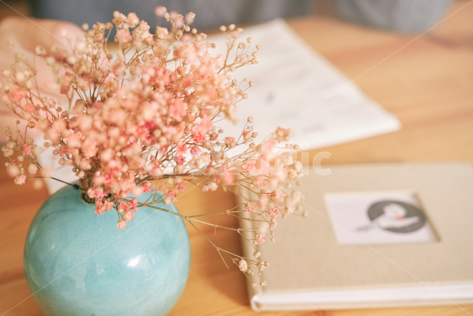 plant,식물,조화,인테리어,꽃,감성사진,파스텔색감,pink,실내용화초,화분,화초,house plant