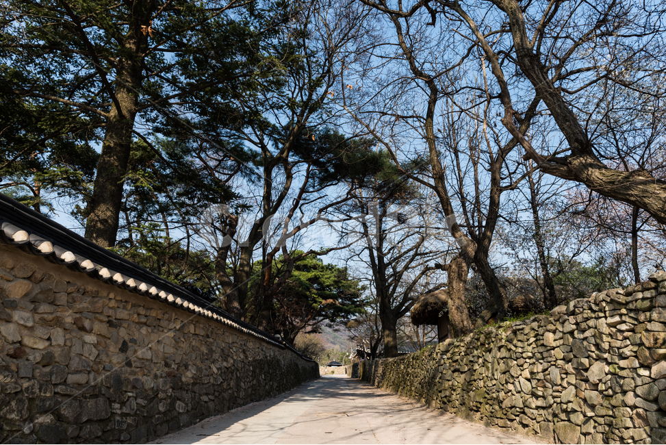 길,풍경,한옥,전통,옛길,골목길,alley,한국전통,한국문화,korean traditional,korean culture,건축물,건물외관,exterior,building,structure,architecture,construction,walkway,보도,path,통로,wall,벽,flagstone,판석,outdoors,옥외