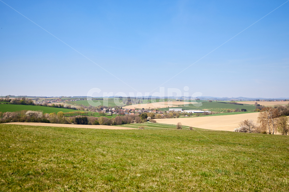 field,들,outdoors,옥외,grassland,목초지,nature,자연,유채꽃,유채꽃밭,유럽,유럽시골,유럽전경,유럽풍경,자연,풍경,nature,landscape