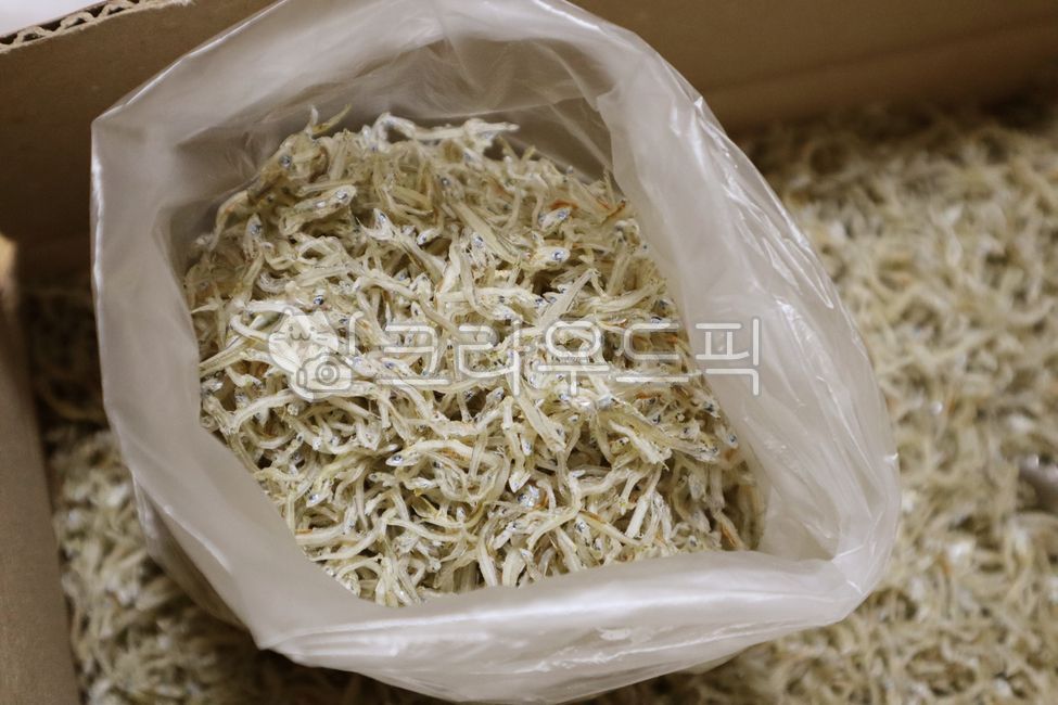 Common anchovy,dried fish,anchovy,wild animal,very small,dry,cooking,ingredient,animal,sea,nature,meal,fish,healthy,cooking ingredient