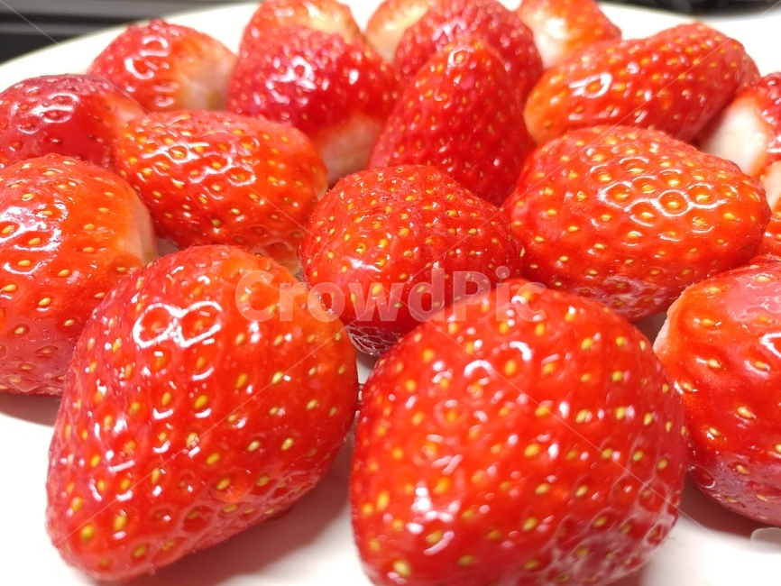 딸기,food,식물,과일,strawberry,음식