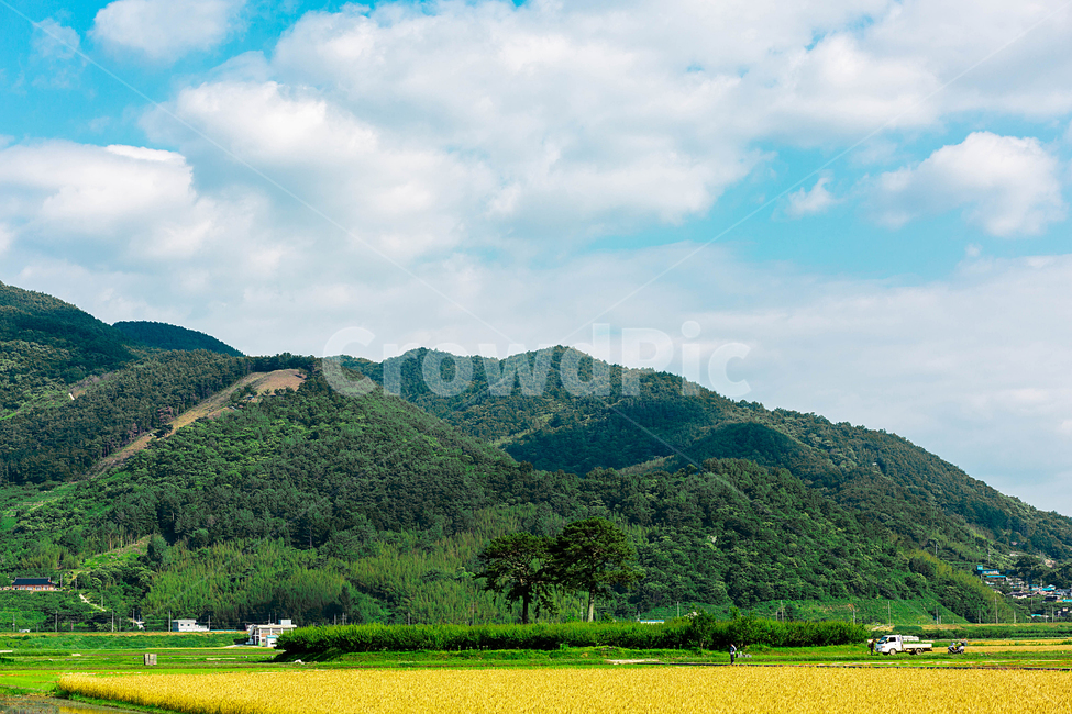 논,밭,농사,시골,구름,산,하늘,자연,풍경,nature,landscape,한국자연풍경,한국자연경관,korea nature landscape,outdoors,옥외,hill,언덕