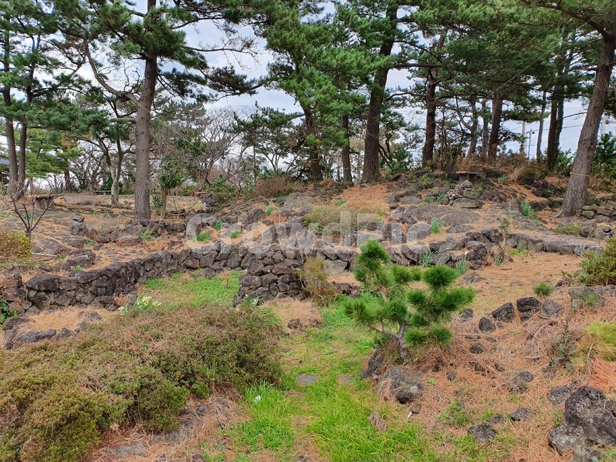 제주43,plant,돌,tree,나무,돌무덤,너븐숭이43기념관,너븐숭이,자연,풍경,nature,landscape,한국자연풍경,한국자연경관,korea nature landscape,제주도,jeju,jeju island