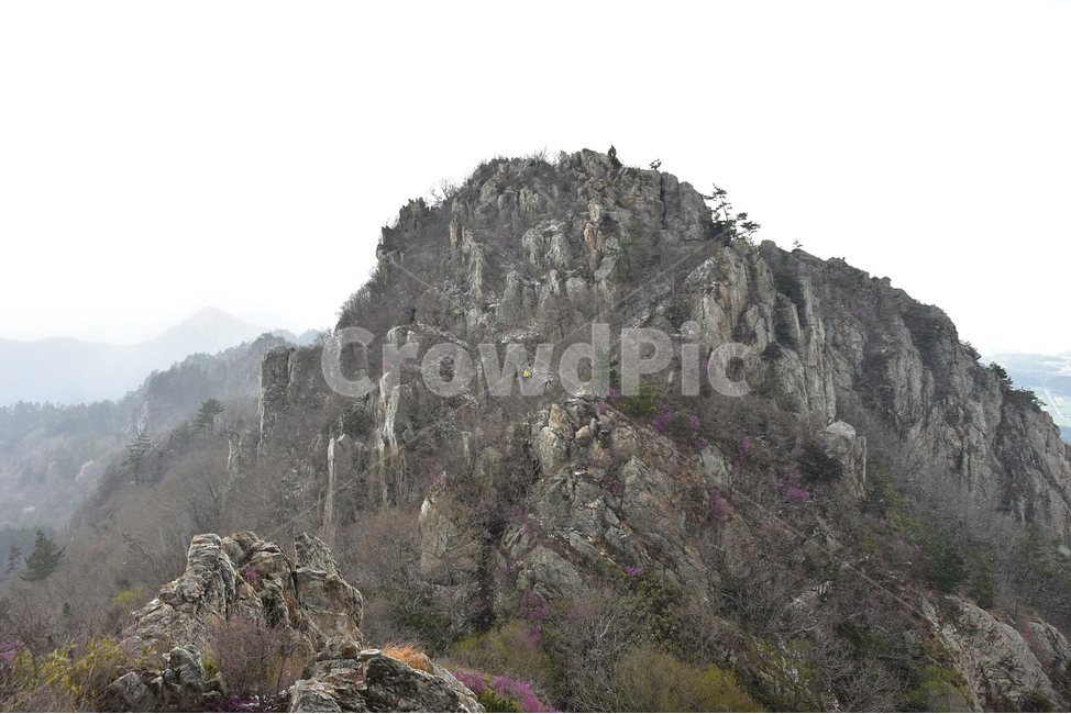 주작산,덕룡산,종주,진달래,풍경,기암,바위,비경,봄풍경,진달래꽃,강진,명산,산행,등산,마운틴,힐링,mountain,landscape,자연,natural,봄,계절,spring,season,자연,풍경,nature,landscape,한국자연풍경,한국자연경관,korea nature landscape,outdoors,옥외,cliff,낭떠러지