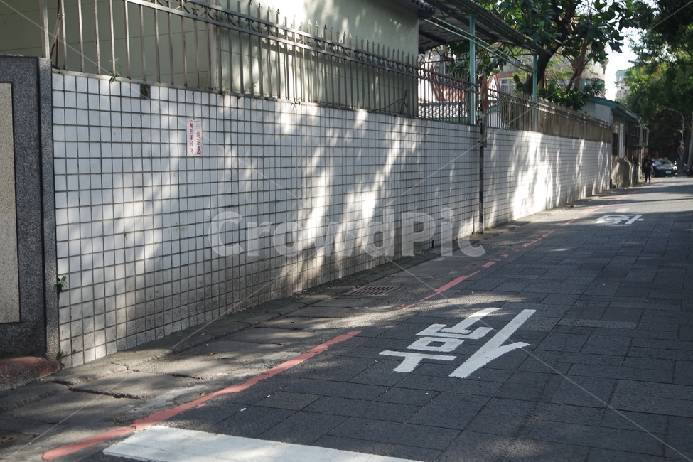 골목길,햇살,가로수길,대만,담장,골목