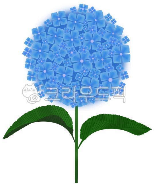 Hydrangea festival,hydrangea flower,summer,summer flower,hydrangea,summer festival,flower festival,summer,flower,summer flower,summer festival,hydrangea,bigleafhydrangea,flower,flower painting,summer painting,summer landscape,summer flowe