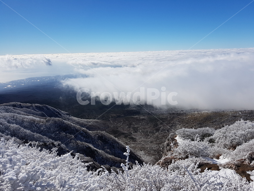 제주,겨울,한라산,눈꽃,눈,jeju,winter,hallamountain,snow,겨울,계절,winter,season