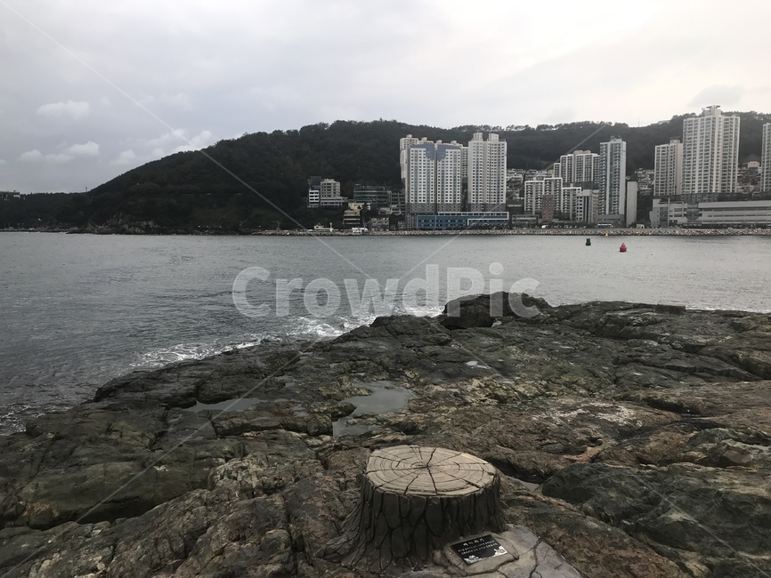 바다,하늘,날씨,전망,거북섬