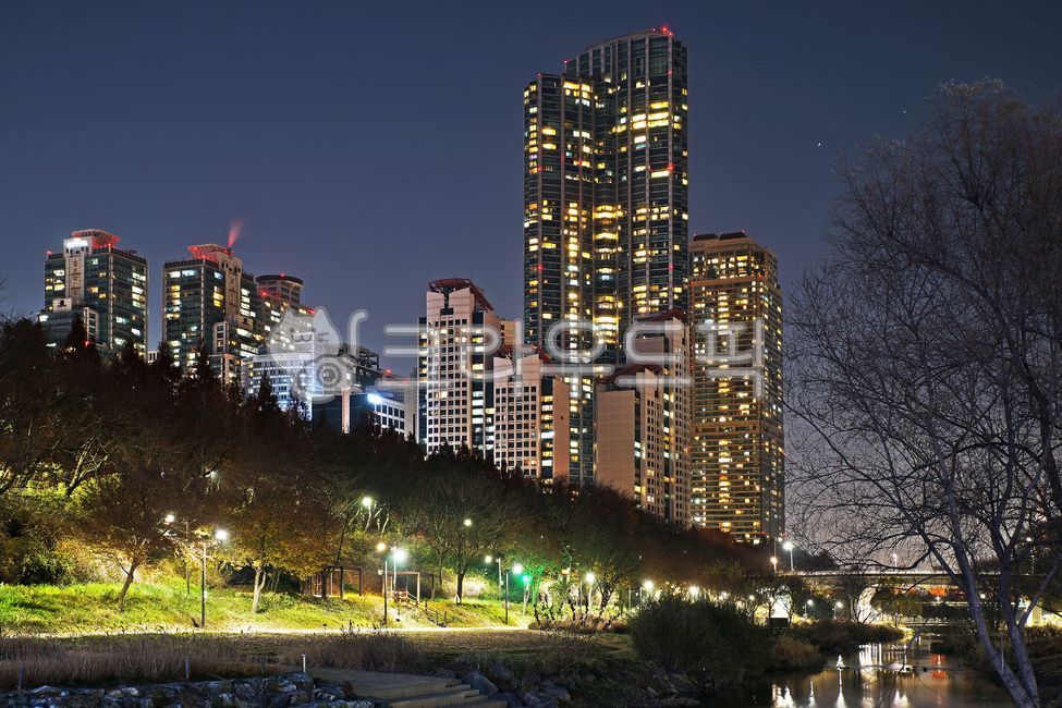 타워팰리스,주상복합,아파트,주거지,양재천,양재천야경,하천,조명,야경