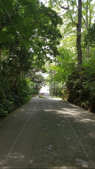 road,도로,tarmac,asphalt,아스팔트