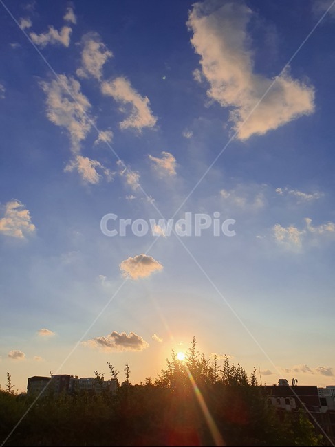 sunlight,햇빛,자연,outdoors,빛,light,nature