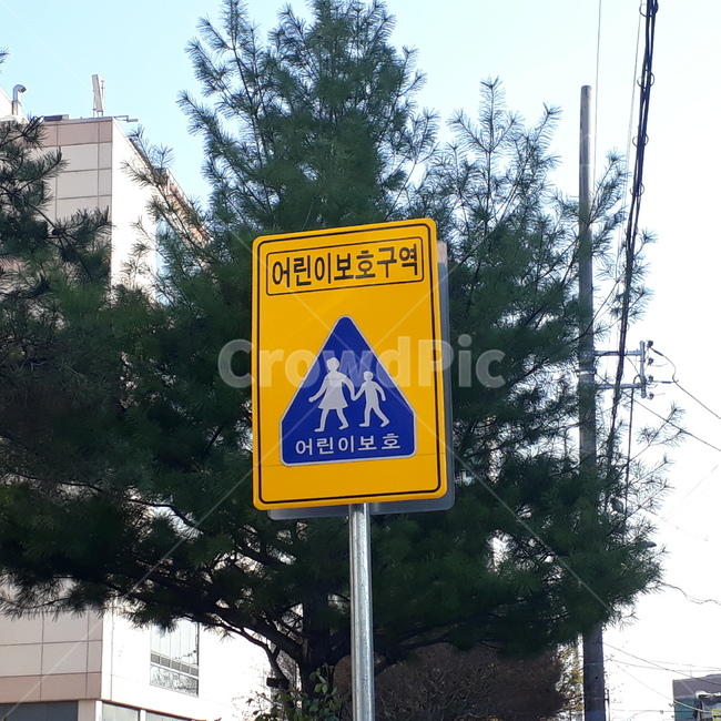 표지판,교통표지판,어린이보호구역,초등학교,어린이,교통,교통수단,traffic,transportation