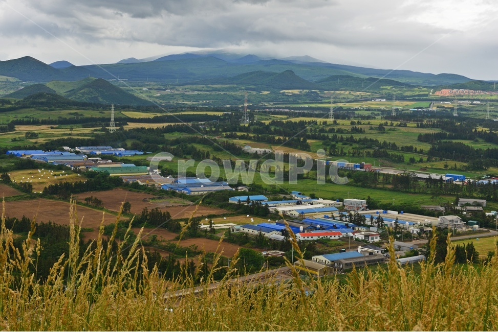 scenery,풍경,outdoors,옥외,landscape,경치,plant,식물,tree,나무,field,들,grassland,목초지,nature,자연,treetrunk,나무줄기,제주도,목장,꽃,오름,제주오름,길,공장,날씨,흐림