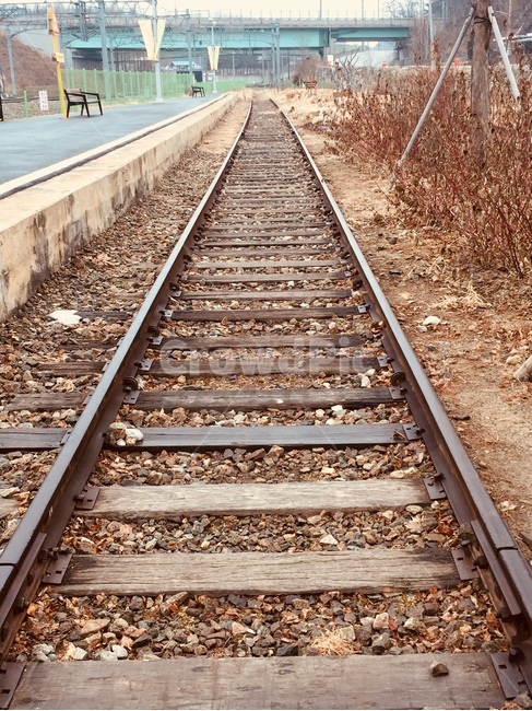 철도,겨울,갈색,감성,긴,브라운