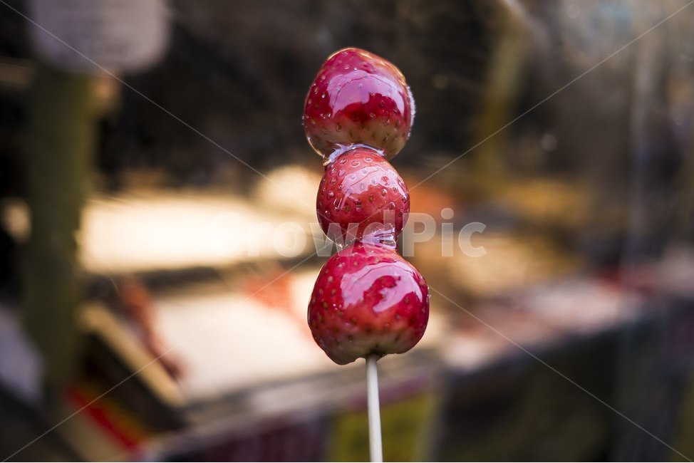 딸기,디저트,과일,꼬지,꼬치,설탕,달콤한,fruit,길거리,음식,음식,식재료,요리,food,cook,meal,dishes,food reserves,과일,열매,fruit,디저트,간식,후식,dessert,snack