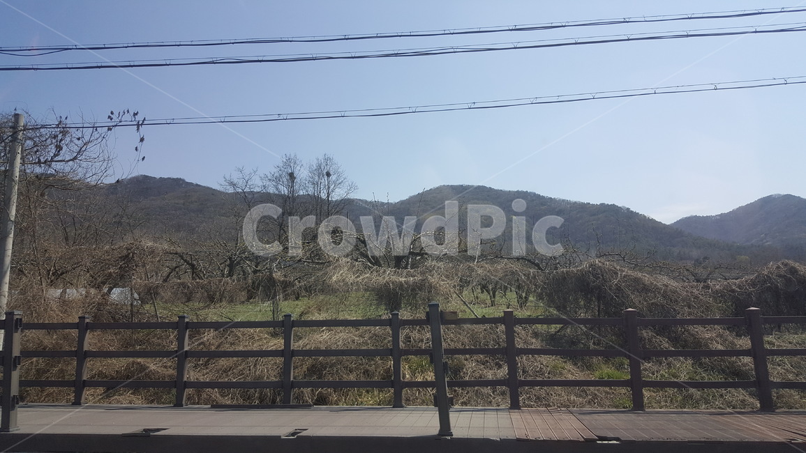 하늘,산책길,울타리,나무,가을