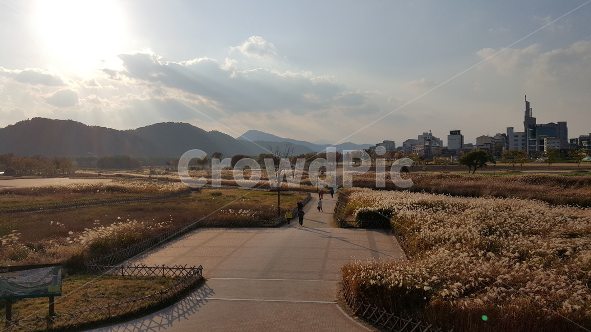 공원,가을,분위기,가을공원,숲