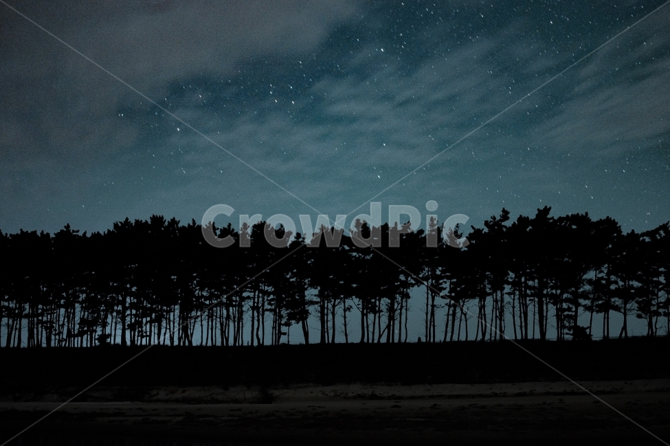 태안,운여해변,야경,별사진,하늘,stars,nightview,nightscene,자연,풍경,nature,landscape,야경,밤,nightscape,night,실루엣,그림자,silhouette,shadow,outdoors,옥외