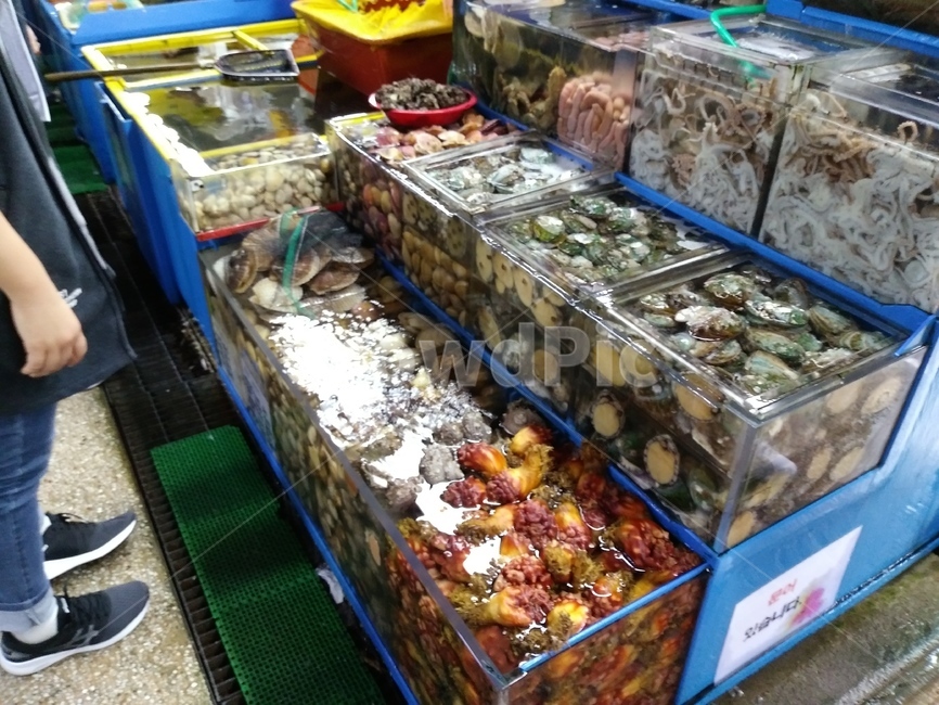 어시장,수산물,식재료,전복,멍게,해산물,seafood,조개,seashell,수산시장,물,수족관,싱싱한,fresh,물고기,생선,수산물시장,배,선박,낚시배,시장,회,횟집,회센터,회타운,모듬회,활어회,마트,마켓,market,mart,marketplace,바다,신선한,시장,마트,마켓,market,mart,market place,수산물,해산물,fishery products,seafood