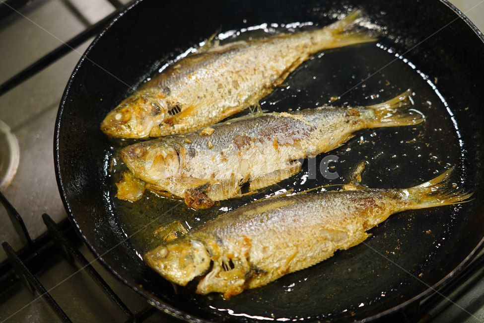 전어,구이,가을전어,생선,요리,안주,횟집,음식,식재료,요리,food,cook,meal,dishes,food reserves