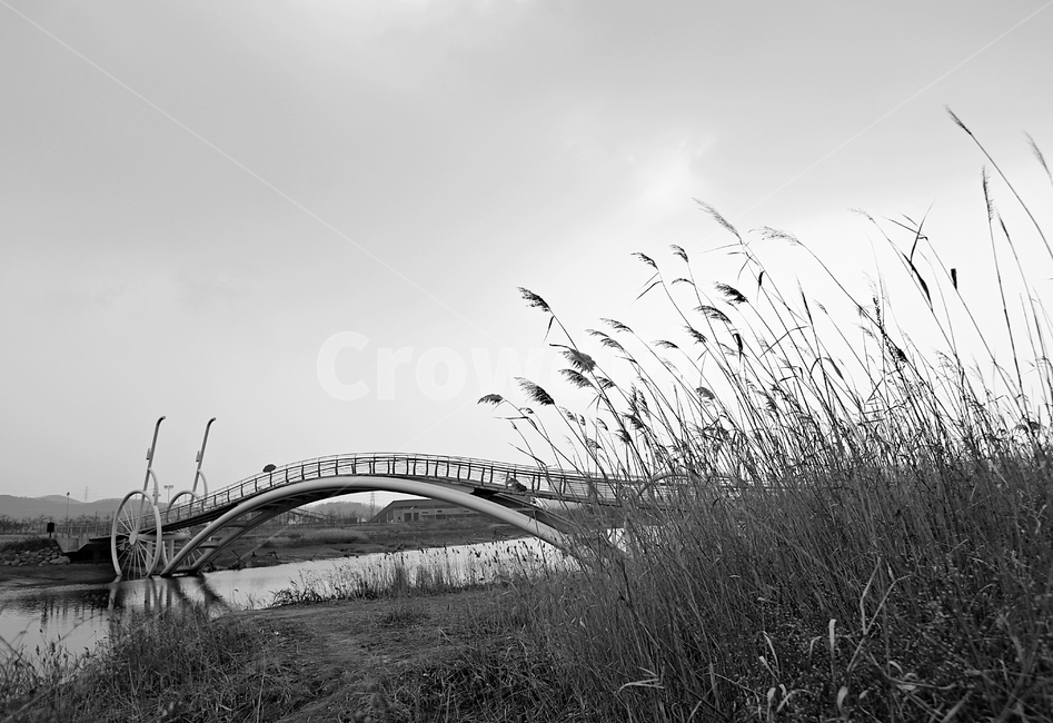 미생의다리,다리,갯벌,바다,생태공원,자연,배경,풍경,자연,풍경,nature,landscape,흑백,모노톤,monochrome,black and white,grass,잔디,plant,식물,lawn