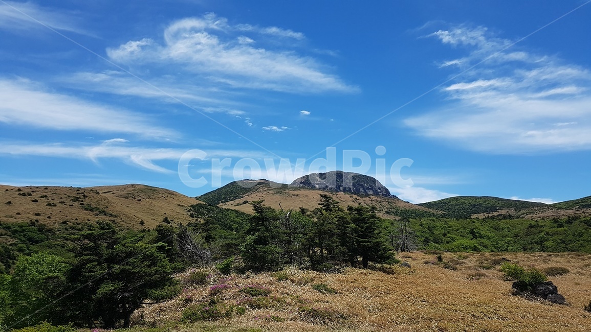 제주도,한라산,어리목코스,윗세오름,구상나무군락,남벽