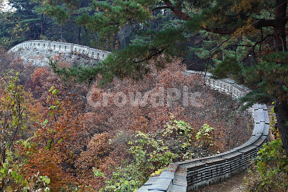 남한산성,성,성곽,단풍,낙엽,길,둘레길,숲,숲길,담,돌담,가을,자연,풍경,벽,울긋불긋,산성,식물,가을,계절,fall,autumn,season
