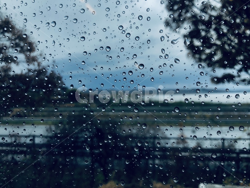비,물방울,창문,빗방울,풍경,비,비오는날,rain,rainy