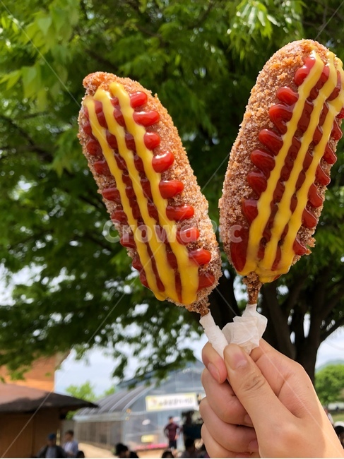 핫도그,간식,양평,음식,hotdog