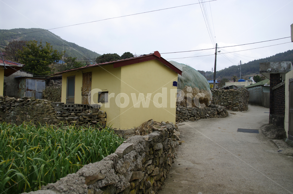 골목길,돌담길,돌담,집,시골,길,농촌,전봇대,밭,시골,마을,풍경,landscape,country,rural,town