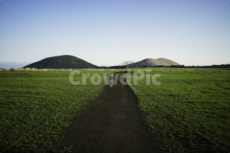 field,들,grassland,nature,자연,옥외,outdoors,시골,농장,travel,trekking,트레킹,제주도,오름,나무,초록,목초지,길,전진