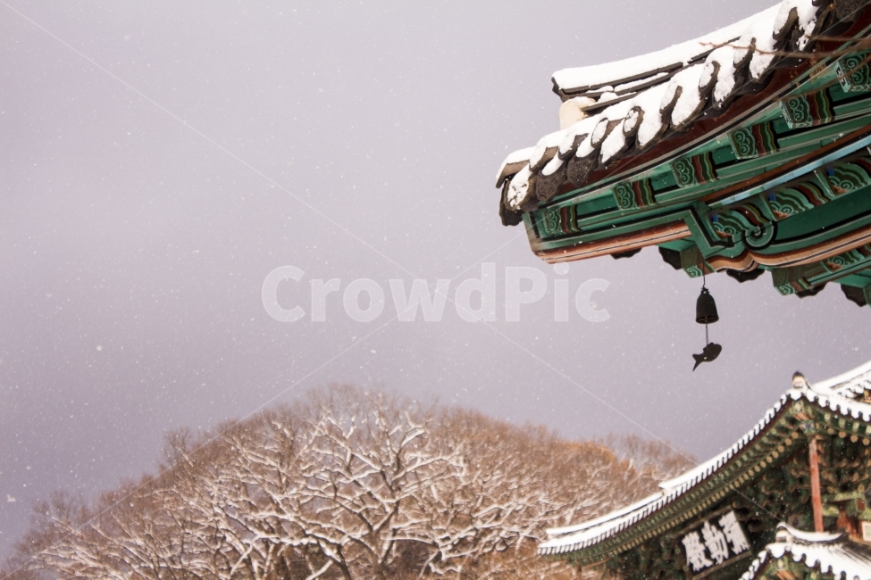 설경,눈,지붕,기와,풍경,겨울,한옥,배경,백그라운드,경치,다울,겨울,계절,winter,season,한국전통,한국문화,korean traditional,korean culture,건축물,건물외관,exterior,building,structure,architecture,construction