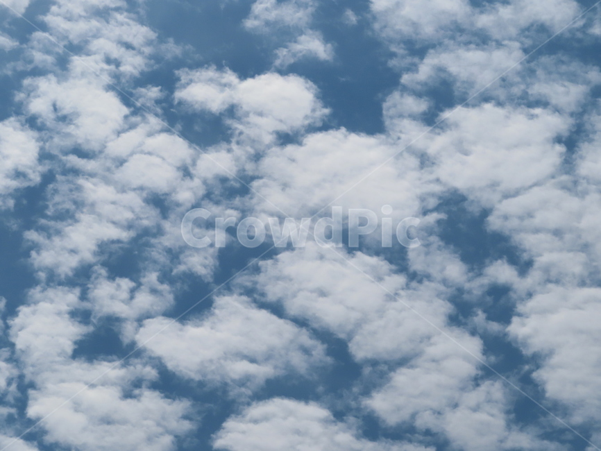 구름,하늘,자연,흰색,파랑색,아름다움,풍경,cloud,sky,white,blue,beauty,nature,scenery