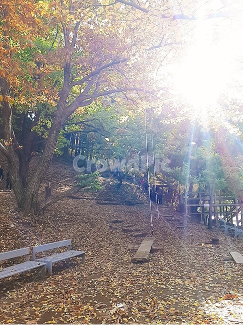 가평,구름,하늘,가을,은행잎,은행나무,산,강,노랑,파랑,가을,계절,fall,autumn,season,dirt road,흙길,gravel,자갈,road,도로,light,빛,flare,플레어