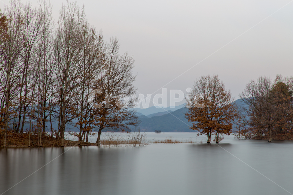 nature,자연,water,물,tree,나무,호수