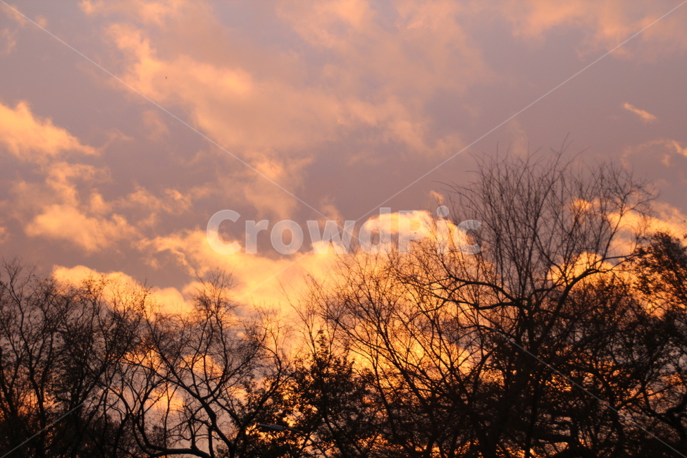 nature,자연,outdoors,sky,하늘,황혼,sunset,redsky,붉은하늘,일몰,옥외