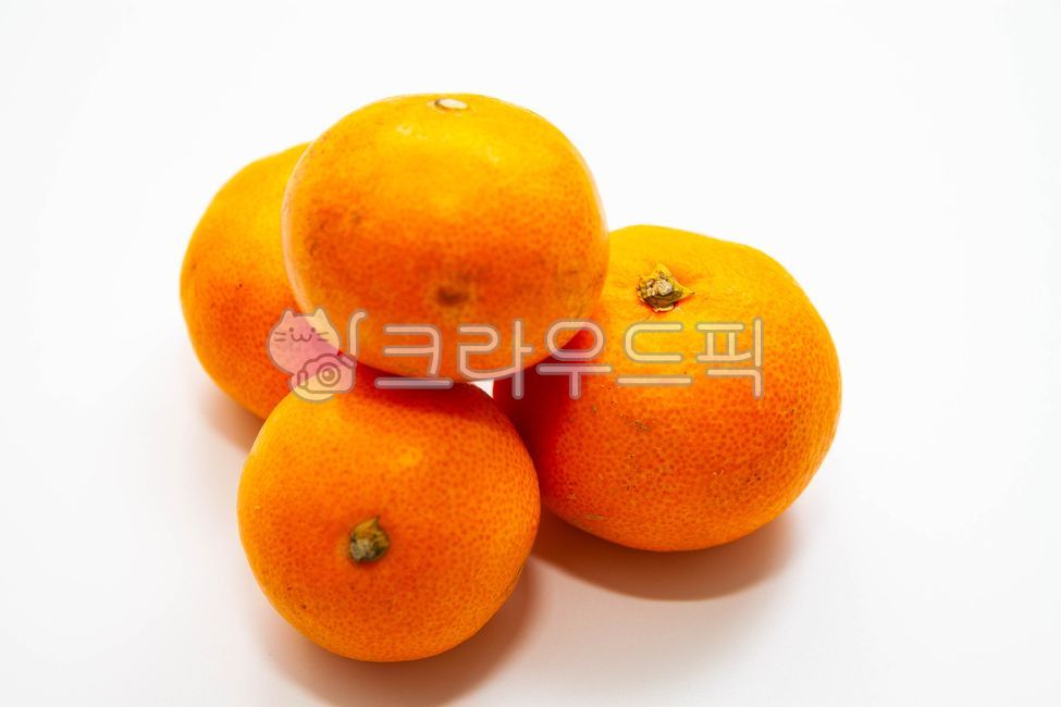 citrusfruit, 감귤류과일, fruit, 과일, food, 사진,이미지,일러스트,캘리그라피 - studio H작가