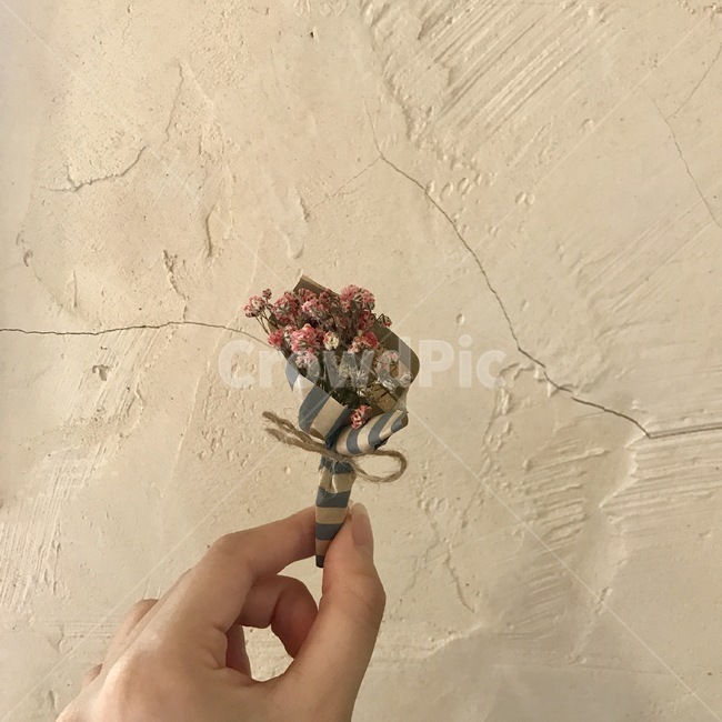 plant,미니꽃,꽃,사람,인간,person,flower,꽃꽂이,꽃,flower,신체일부,몸,body