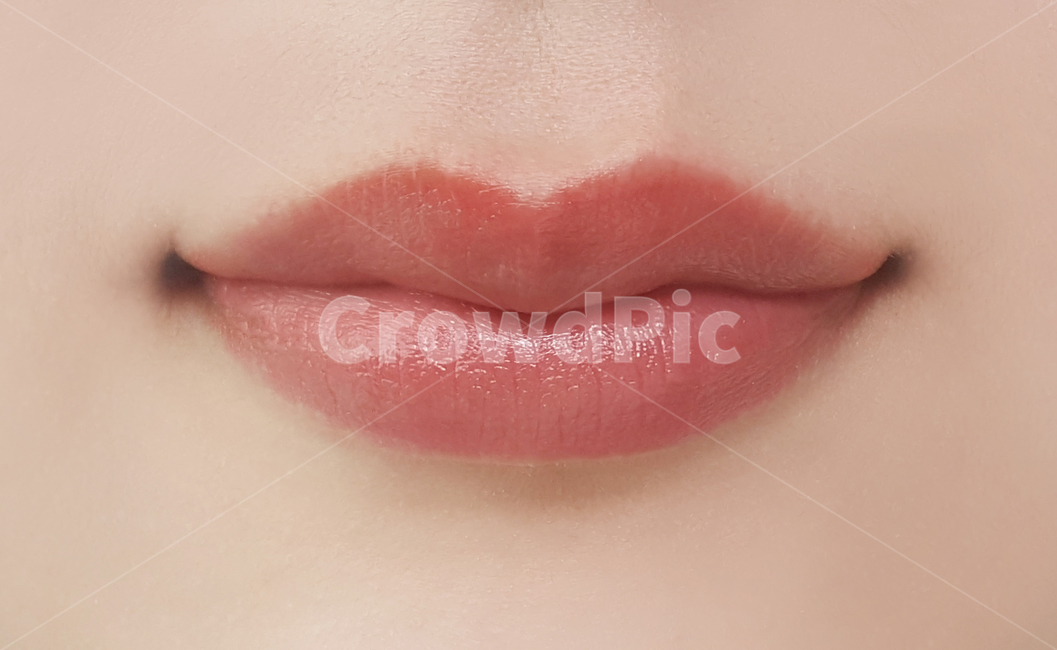 입술,립스틱,화장품,입술발색,립,틴트,lips,lip,mouth,lipstick,cosmetics,매트립,그라데이션립,핑크립,pink,matt,누드,립밤,누드립,신체일부,몸,body,뷰티,미용,beauty treatment