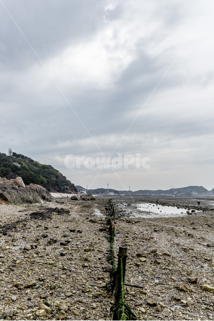 바닷가,해안,썰물,풍경,갯벌,하늘,구름,뻘,해안가,해변,바다,beach,sea