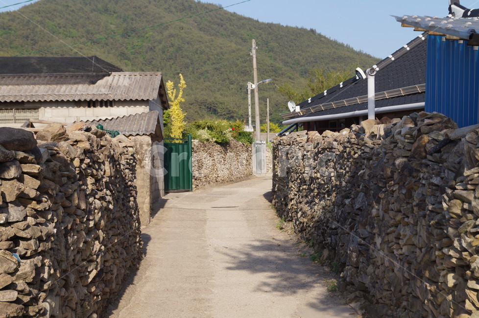 돌담,마을길,울타리,고향풍경,돌담길,고흥마을길,시골,마을,풍경,landscape,country,rural,town,골목길,alley,outdoors,옥외,nature,자연