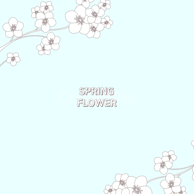 spring,spring flowers,warm,Cherry Blossom,petal,background,festival,sight,season,flower,frame