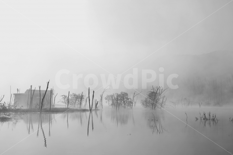 문광저수지,물안개,낚시터,여행,몽환,괴산,충북,자연,풍경,nature,landscape,한국자연풍경,한국자연경관,korea nature landscape,흑백,모노톤,monochrome,black and white,weather,날씨