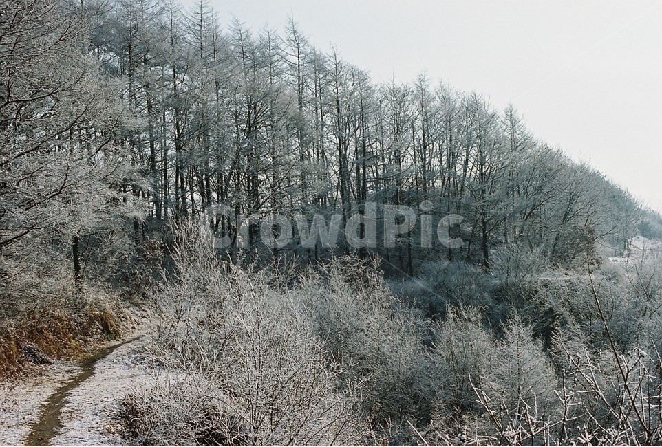 산,겨울,눈꽃,상고대,설산,자연,풍경,winter,season,nature,landscape,겨울,계절,winter,season,자연,풍경,nature,landscape,outdoors,옥외,frost,서리,snow,눈