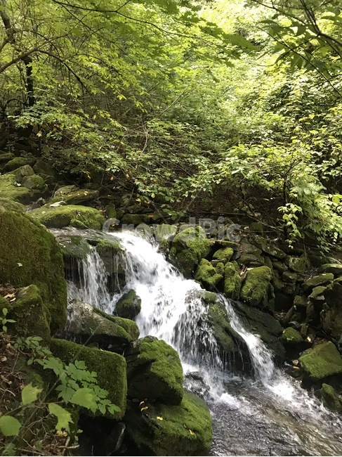 이끼계곡,이끼,계곡,물,water,자연,nature,폭포,자연,풍경,nature,landscape,outdoors,옥외,river,강,waterfall
